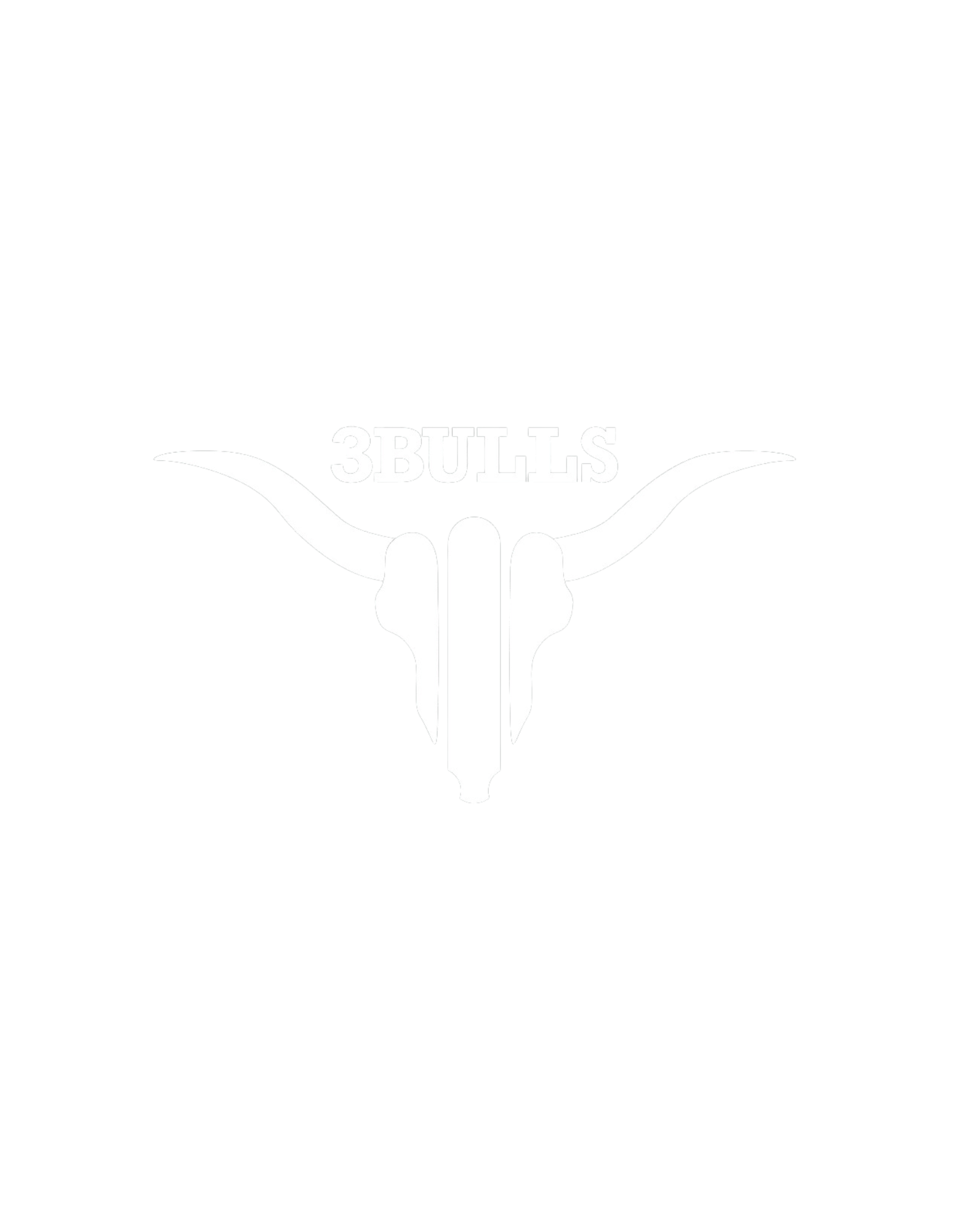3 Bulls Fishing
